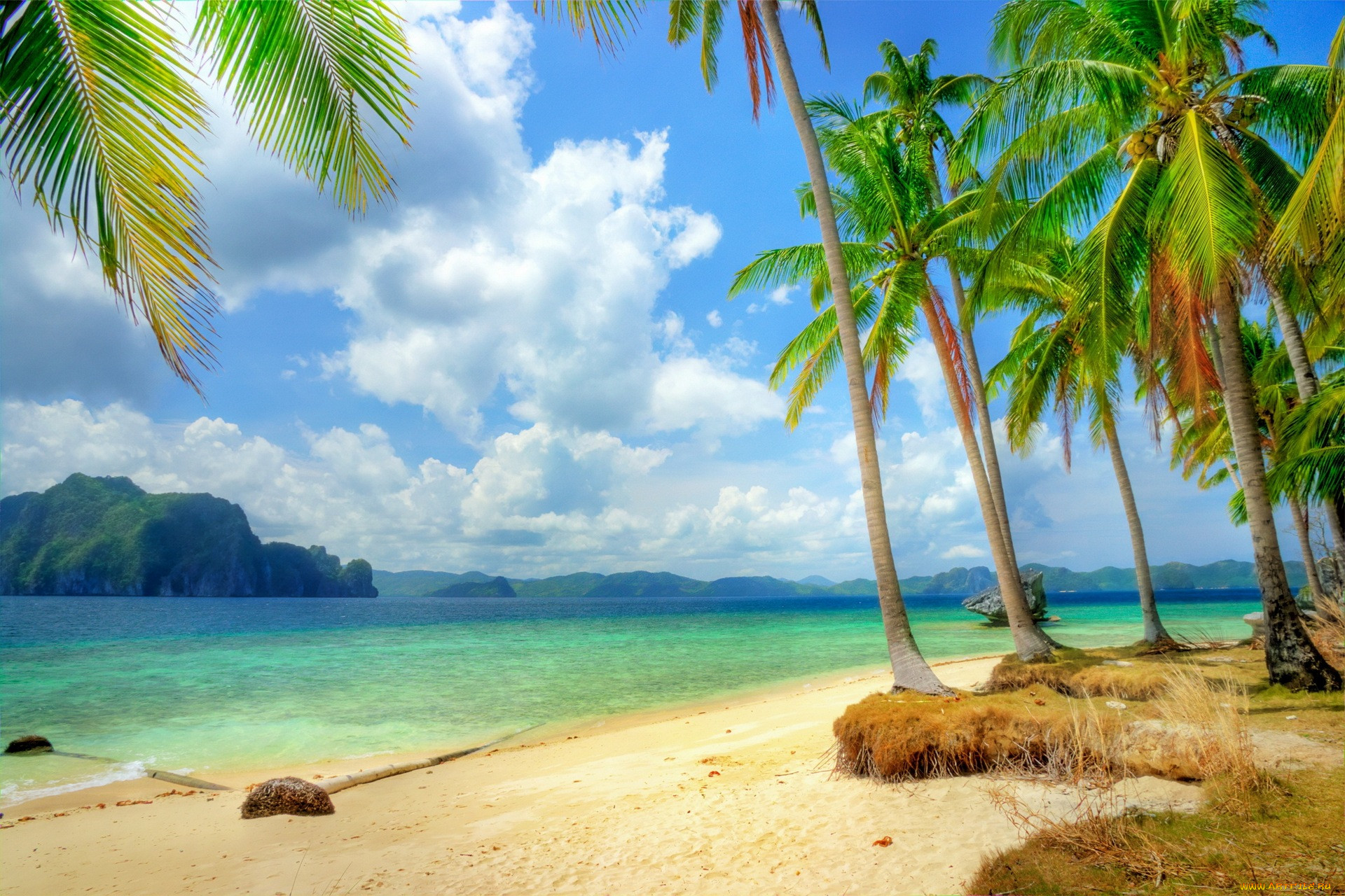 , , vacation, , , , , , , sand, summer, palm, ocean, emerald, blue, sea, coast, beach, , paradise, tropical